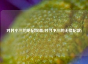 对付小三的绝招狠毒(对付小三的无情招数)
