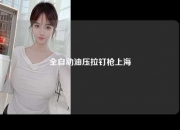 全自动油压拉钉枪上海