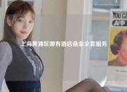 上海黄浦区哪有酒店桑拿全套服务