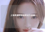 上海青浦后花园景点介绍图