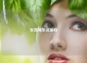 东莞喝茶资源群