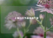 上海远红外桑拿房厂家