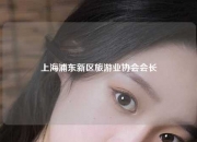 上海浦东新区旅游业协会会长