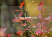 上海周边度假村2日游