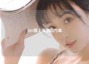 2023看上海活动方案