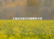 上海五日游大约需要多少钱