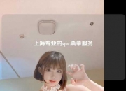 上海专业的spa 桑拿服务