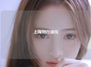 上海刘行油压