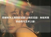 却被称为上海的后花园(上海后花园：身临其境的自然与艺术之都)