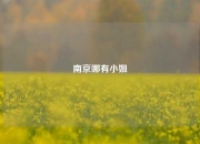南京哪有小姐