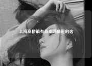 上海高桥镇有桑拿吗最近的店