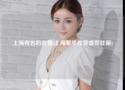 上海有名的夜景(上海繁华夜景盛世壮丽)