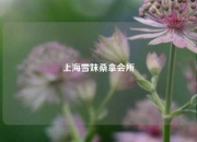 上海雪妹桑拿会所