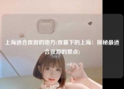 上海适合夜游的地方(夜幕下的上海：探秘最适合夜游的景点)