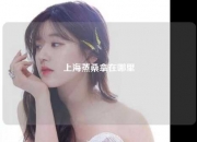 上海蒸桑拿在哪里