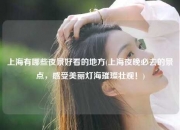 上海有哪些夜景好看的地方(上海夜晚必去的景点，感受美丽灯海璀璨壮观！)