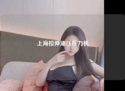 上海拉伸油压压力机