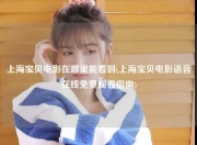 上海宝贝电影在哪里能看到(上海宝贝电影语音在线免费观看指南)