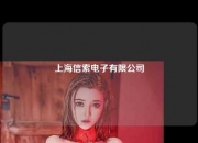 上海信索电子有限公司