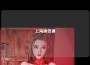 上海迪信通