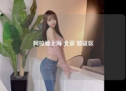 阿拉爱上海 北京 验证区