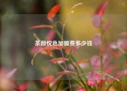 茶颜悦色加盟费多少钱