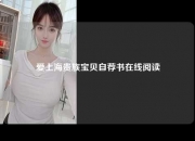 爱上海贵族宝贝自荐书在线阅读