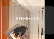 到了杭州怎么去乌镇