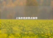 上海本地游景点推荐