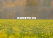 中国哪里姑娘漂亮