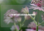 上海浦东新区旅游景点有哪些