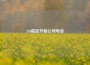 110指定开锁公司电话