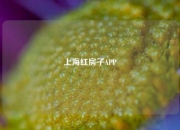 上海红房子APP