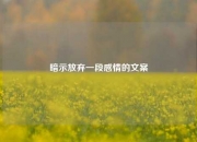 暗示放弃一段感情的文案