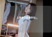 上海哪个区最好玩