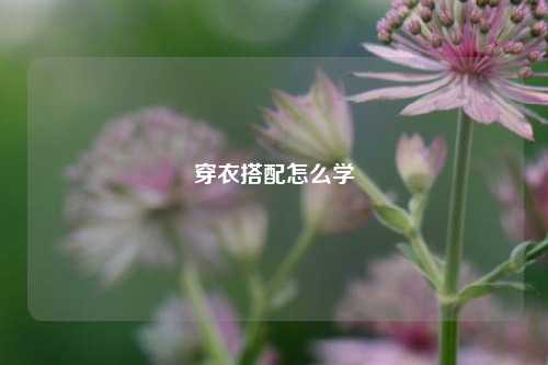 穿衣搭配怎么学