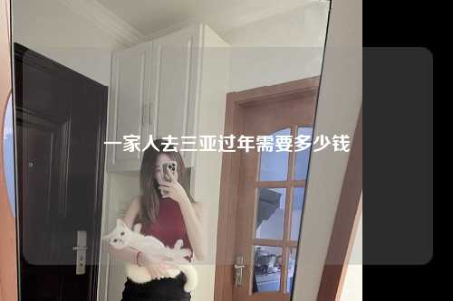 一家人去三亚过年需要多少钱