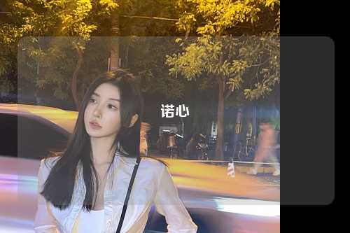 诺心