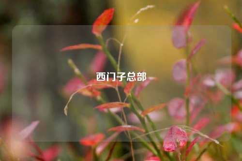 西门子总部