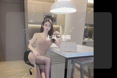 上海二中院