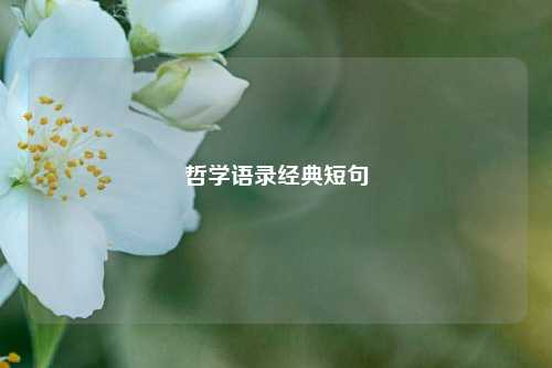 哲学语录经典短句