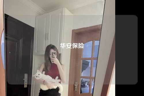 华安保险