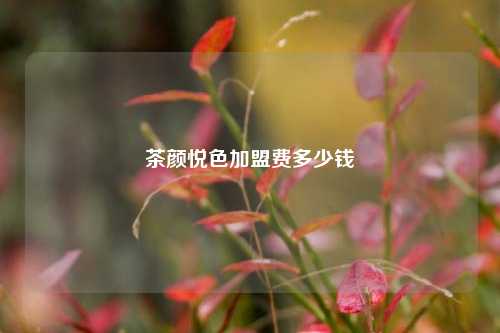 茶颜悦色加盟费多少钱