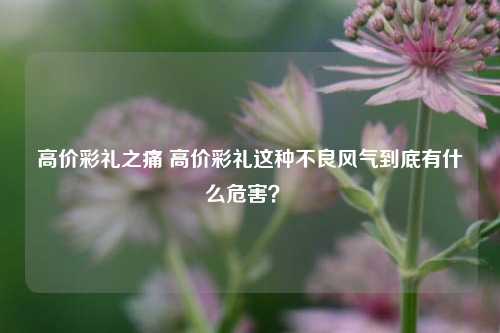 高价彩礼之痛 高价彩礼这种不良风气到底有什么危害？ 