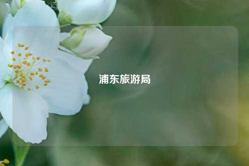浦东旅游局