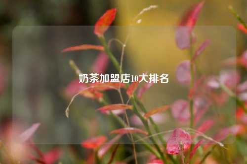 奶茶加盟店10大排名