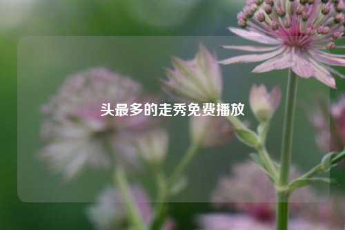 头最多的走秀免费播放