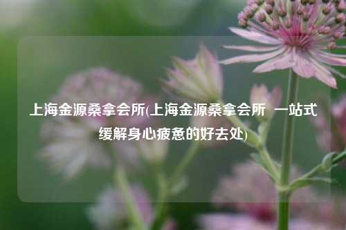 上海金源桑拿会所(上海金源桑拿会所  一站式缓解身心疲惫的好去处)