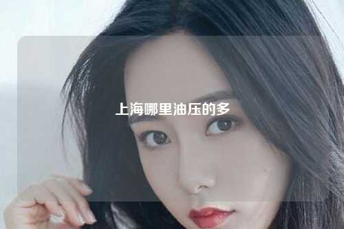 上海哪里油压的多