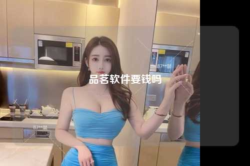 品茗软件要钱吗